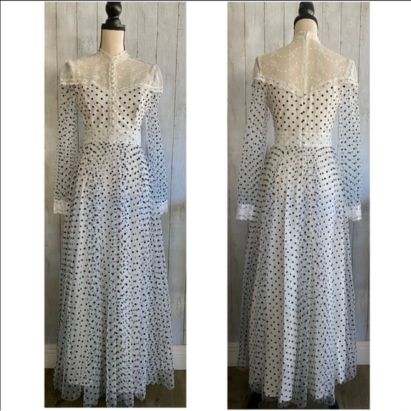 Rose Velvet Dotted tulle gown - Picture 2 of 13